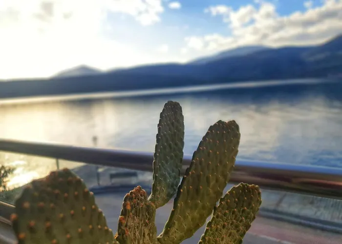 Boho House In Itea-delphi * Itea